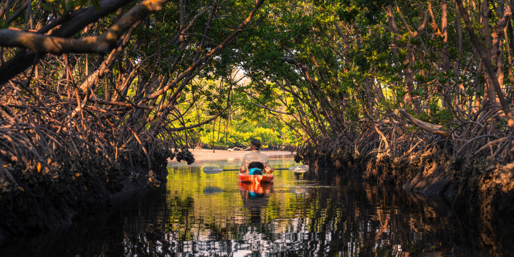 Back bay kayak tour in Fort Myers Beach